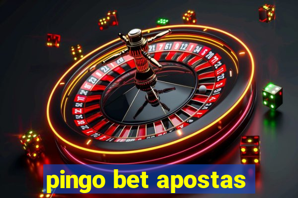 pingo bet apostas