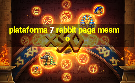 plataforma 7 rabbit paga mesmo