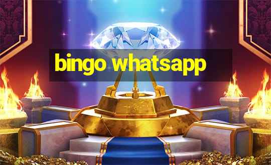 bingo whatsapp