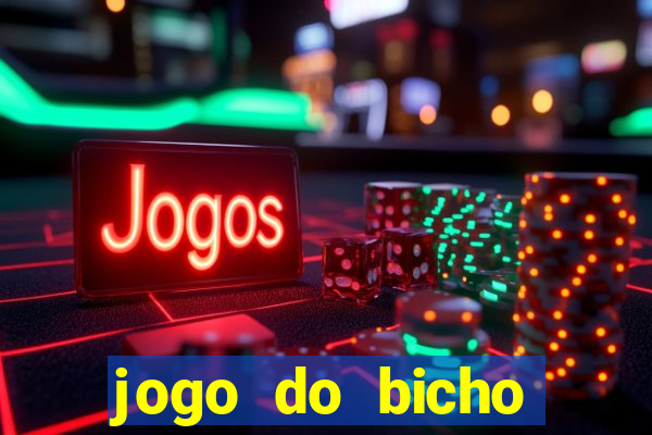 jogo do bicho crash bingo