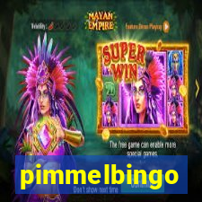 pimmelbingo