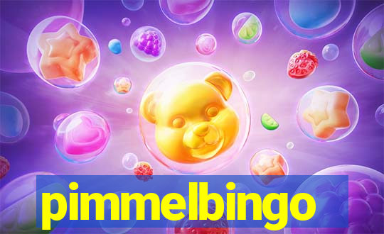 pimmelbingo