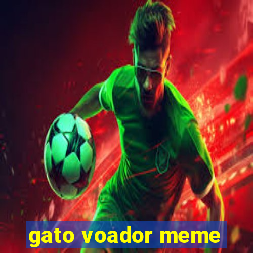 gato voador meme