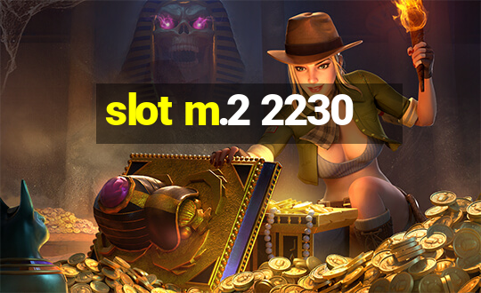 slot m.2 2230