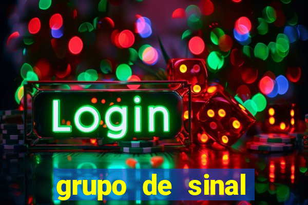 grupo de sinal fortune tiger