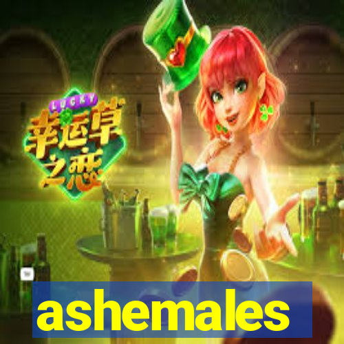 ashemales