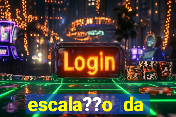 escala??o da bélgica hoje