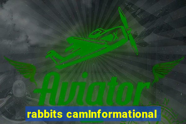 rabbits camInformational