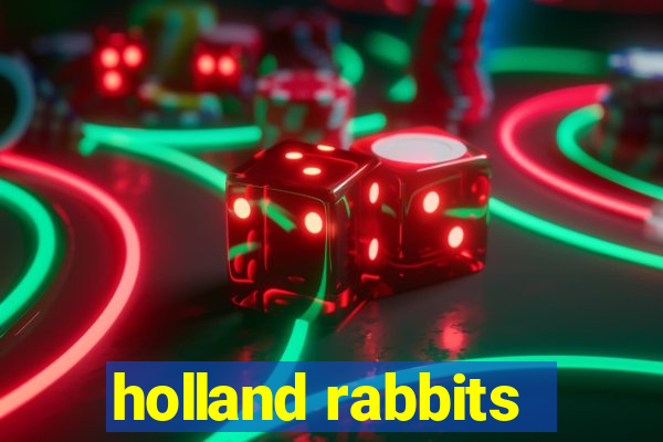 holland rabbits