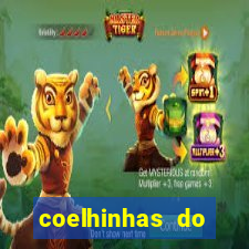 coelhinhas do brasil site