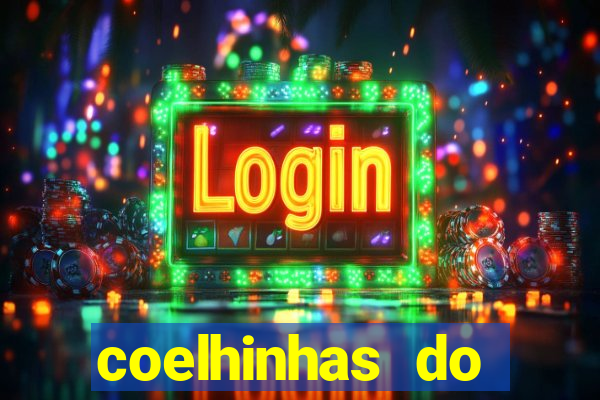 coelhinhas do brasil site