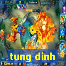 tung dinh