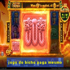 jogo do bicho paga mesmo