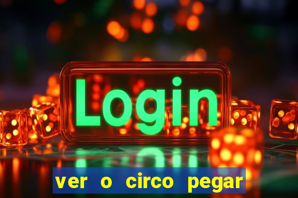 ver o circo pegar fogo significado