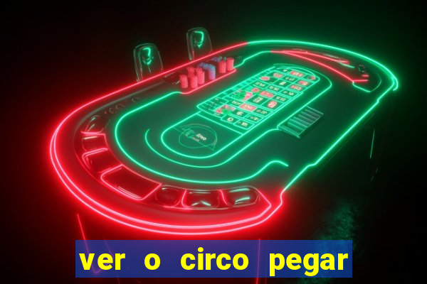 ver o circo pegar fogo significado