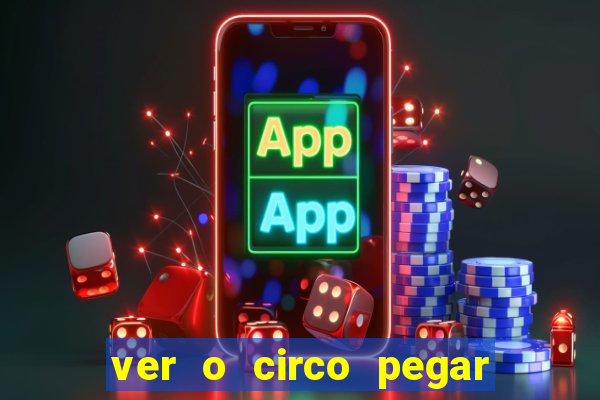 ver o circo pegar fogo significado