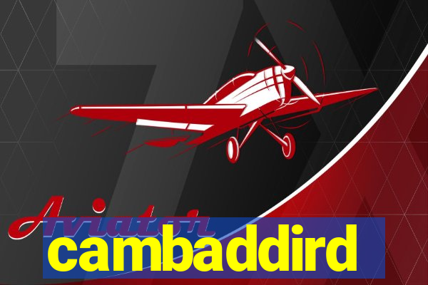 cambaddird