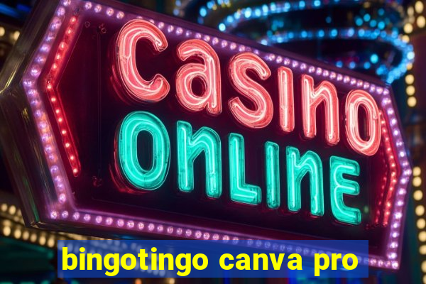 bingotingo canva pro