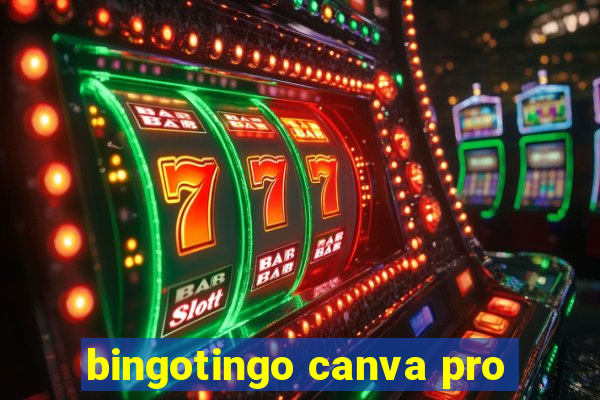 bingotingo canva pro