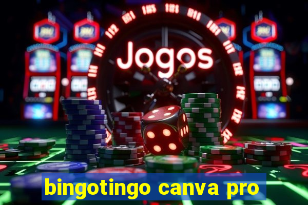 bingotingo canva pro