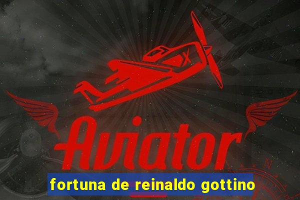 fortuna de reinaldo gottino