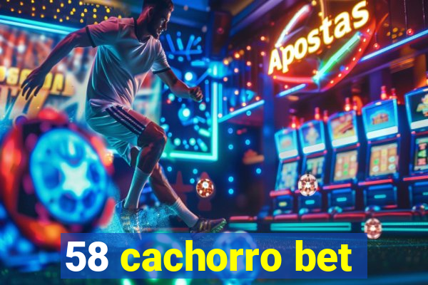 58 cachorro bet