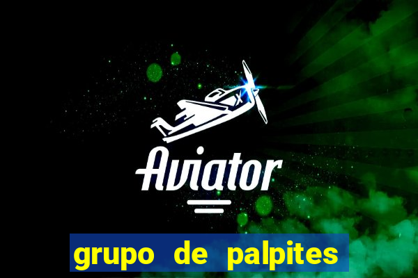 grupo de palpites de futebol