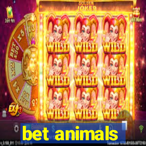 bet animals