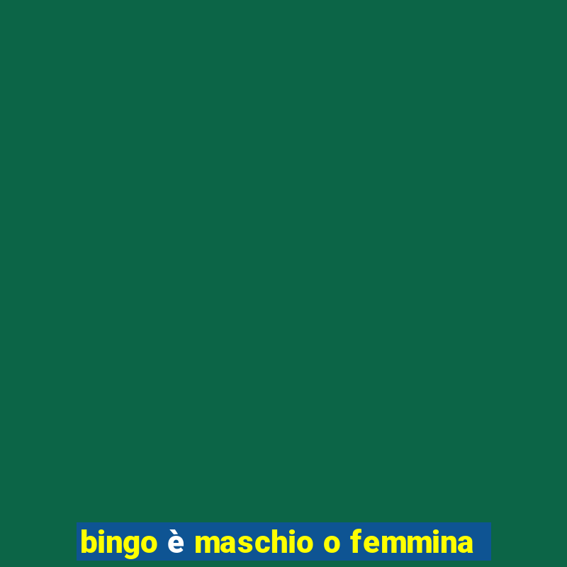 bingo è maschio o femmina