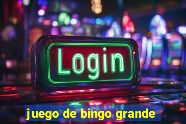 juego de bingo grande