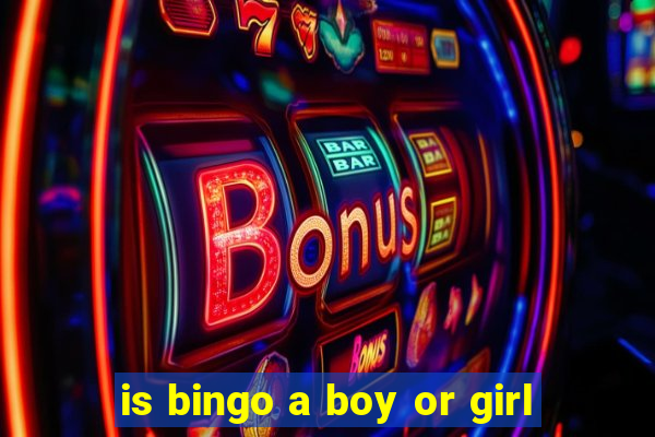 is bingo a boy or girl