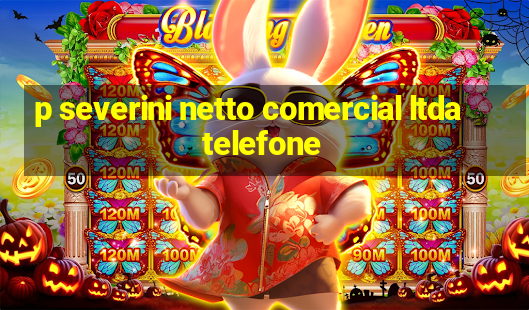 p severini netto comercial ltda telefone