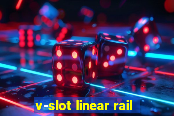 v-slot linear rail