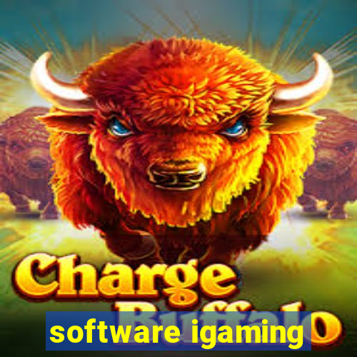 software igaming