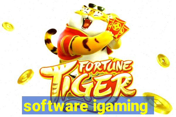 software igaming