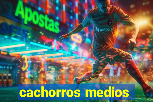 cachorros medios