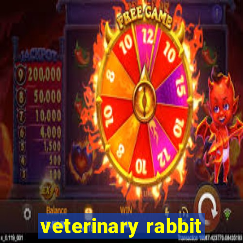 veterinary rabbit