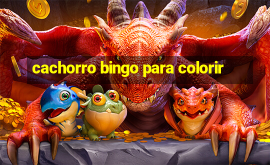 cachorro bingo para colorir