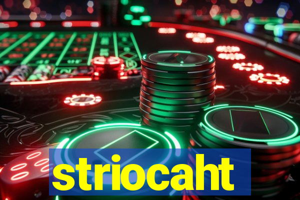 striocaht