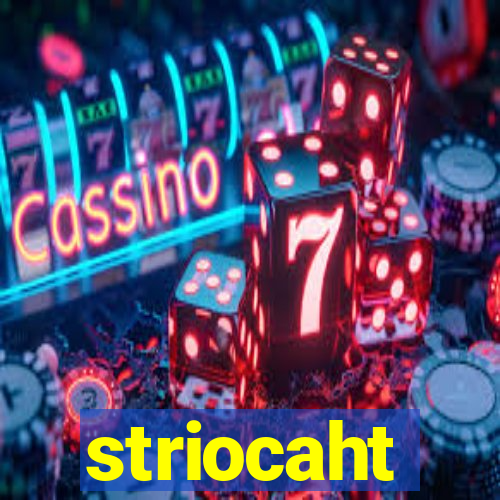 striocaht