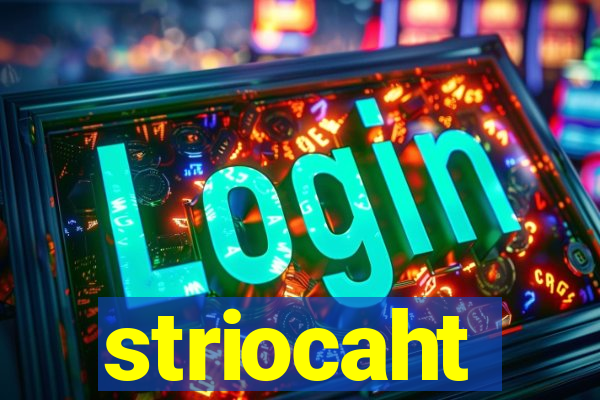 striocaht