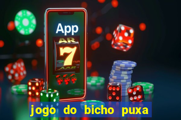 jogo do bicho puxa de dona maria