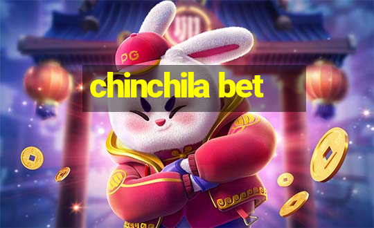 chinchila bet