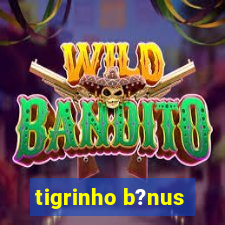 tigrinho b?nus