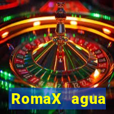 RomaX agua sanitaria fispq agua sanitaria romax