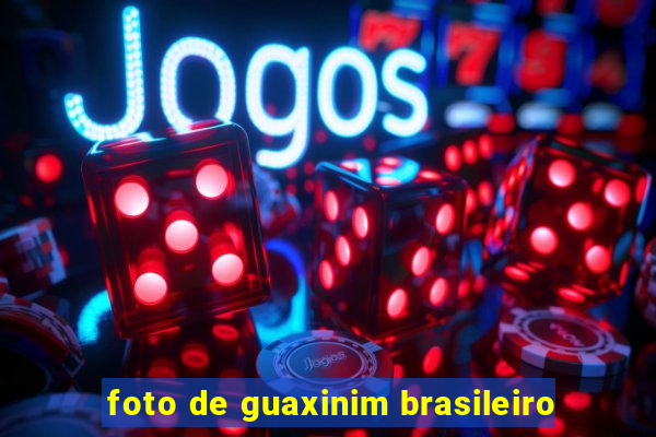 foto de guaxinim brasileiro