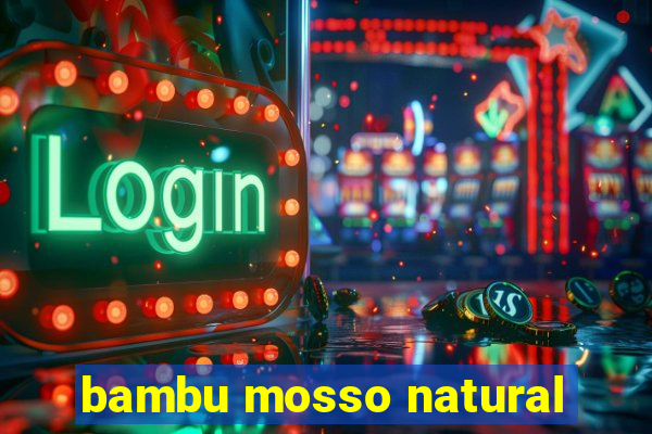 bambu mosso natural