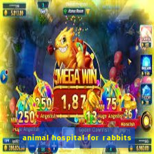 animal hospital for rabbits