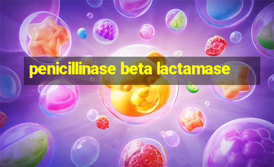 penicillinase beta lactamase