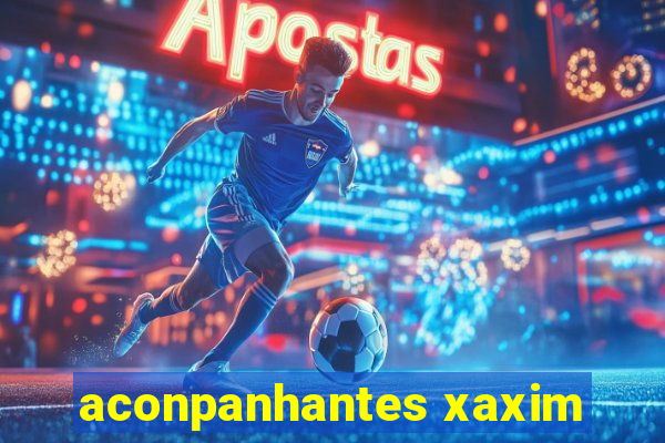 aconpanhantes xaxim